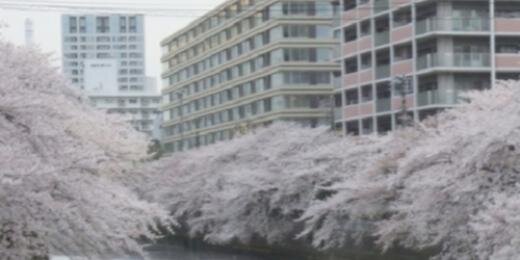 Zombiebrains_'s profile banner image