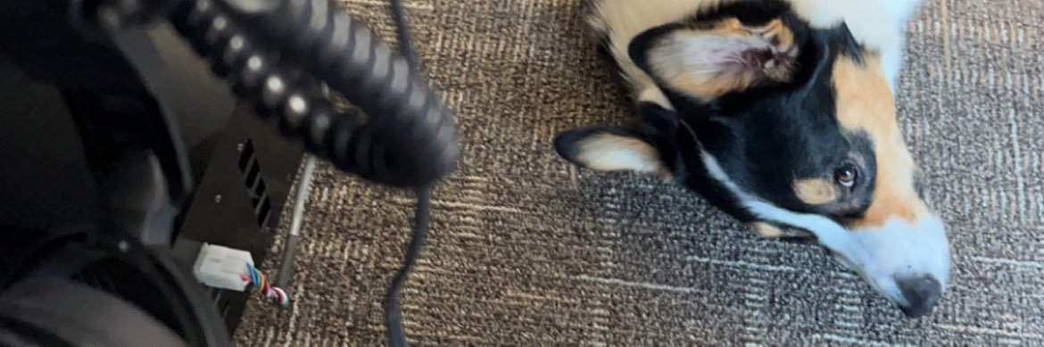 Carah Hart 🎙️ banner