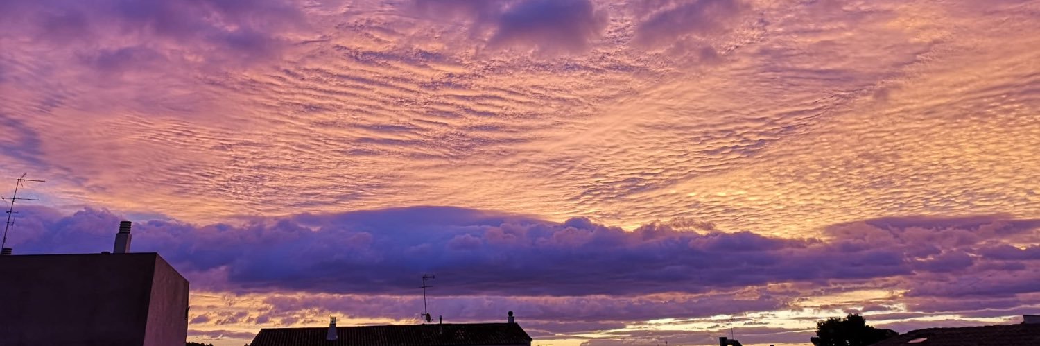 celiammurcia's profile banner image