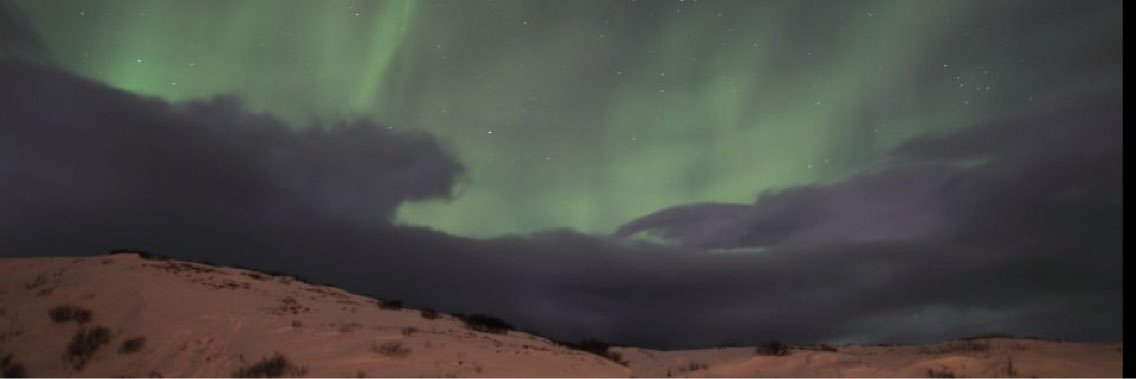 beangie's profile banner image