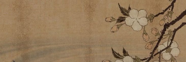 𝚂𝙰𝚁𝙰𝙷 𝙾'𝙲𝙾𝙽𝙽𝙴𝚁's banner
