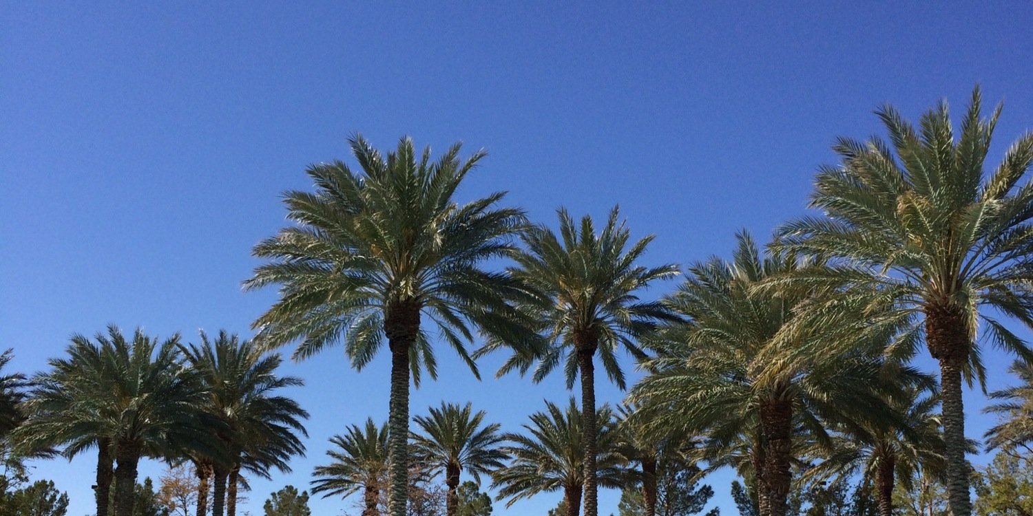 laurendlloyd's profile banner image