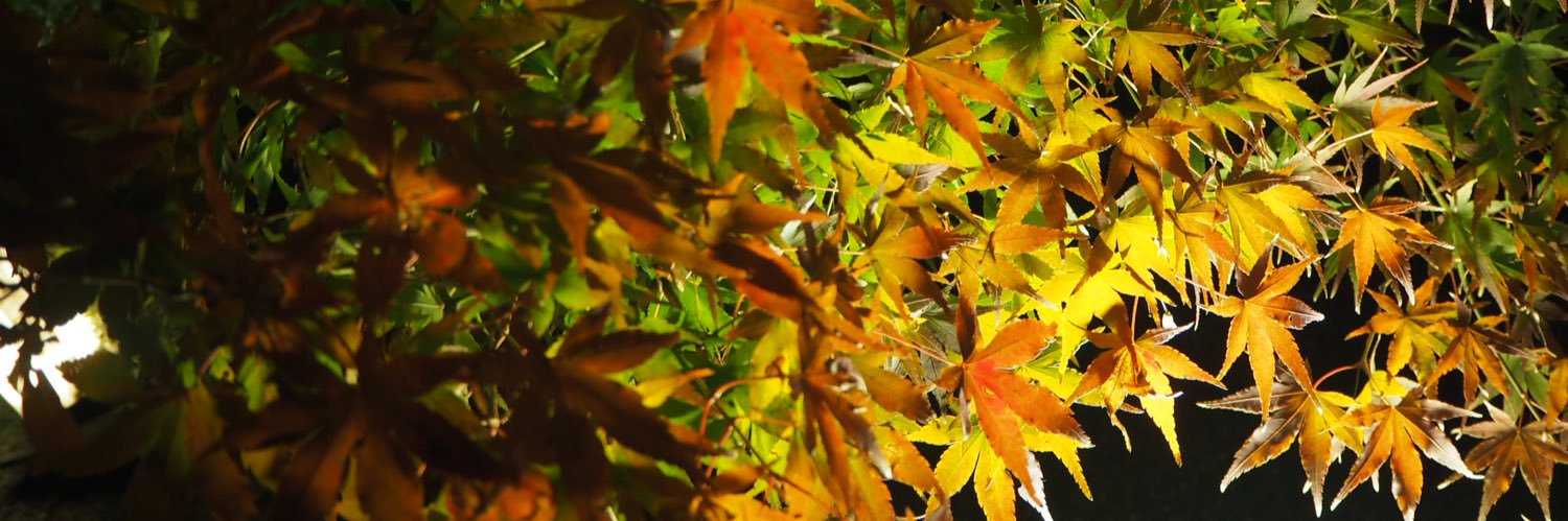 ayimIKIHS's profile banner image