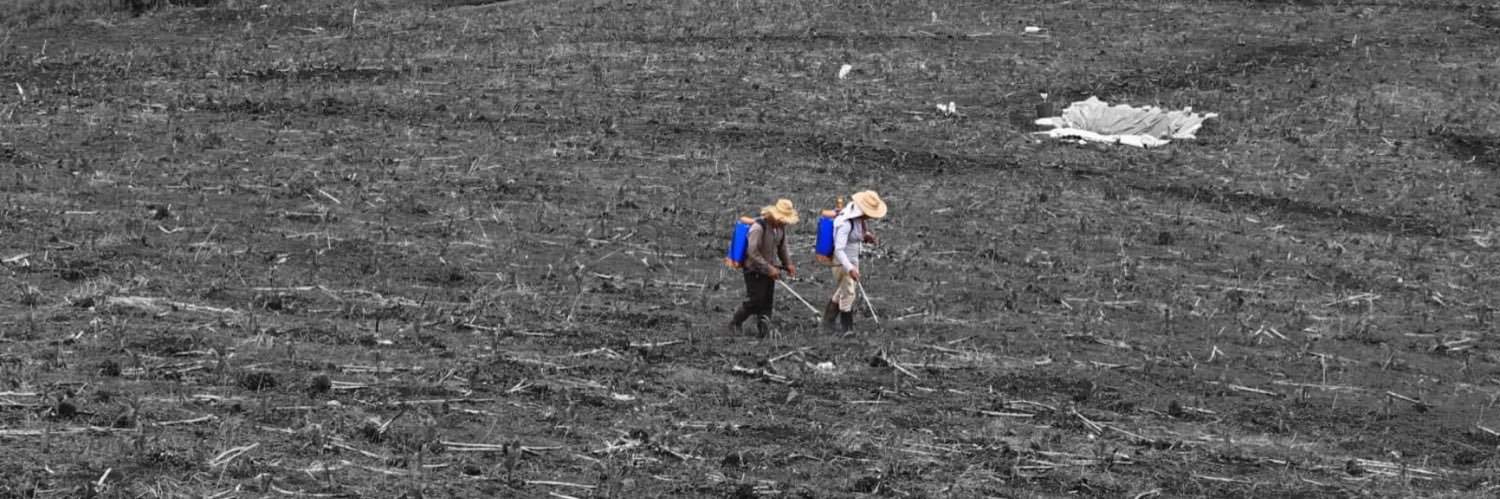 Isaín Mandujano banner