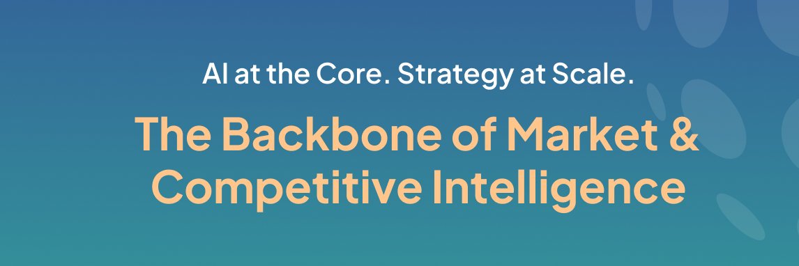 Northern Light banner