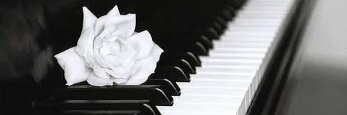 David Bobadilla banner