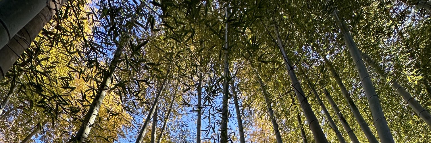 MGVanS's profile banner image