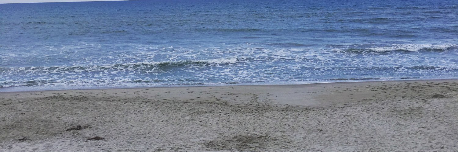 Linzimc's profile banner image
