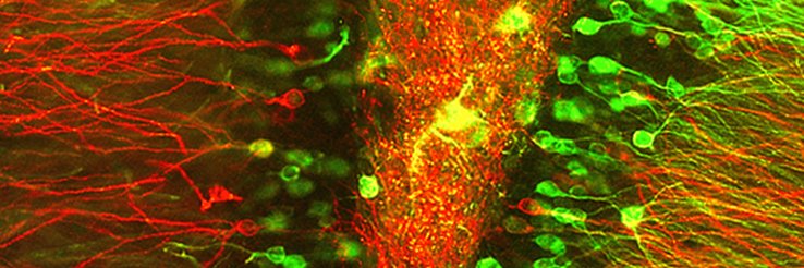FranzeasvA's profile banner image