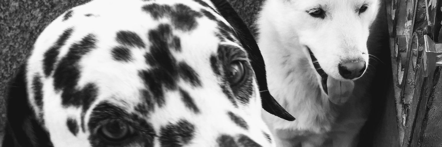 clau_so's profile banner image