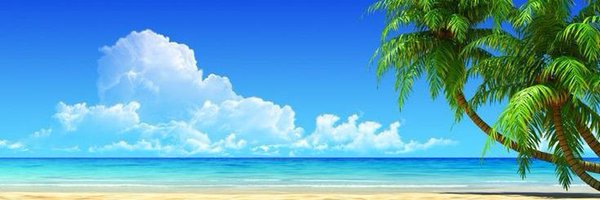 pki42 Profile Banner