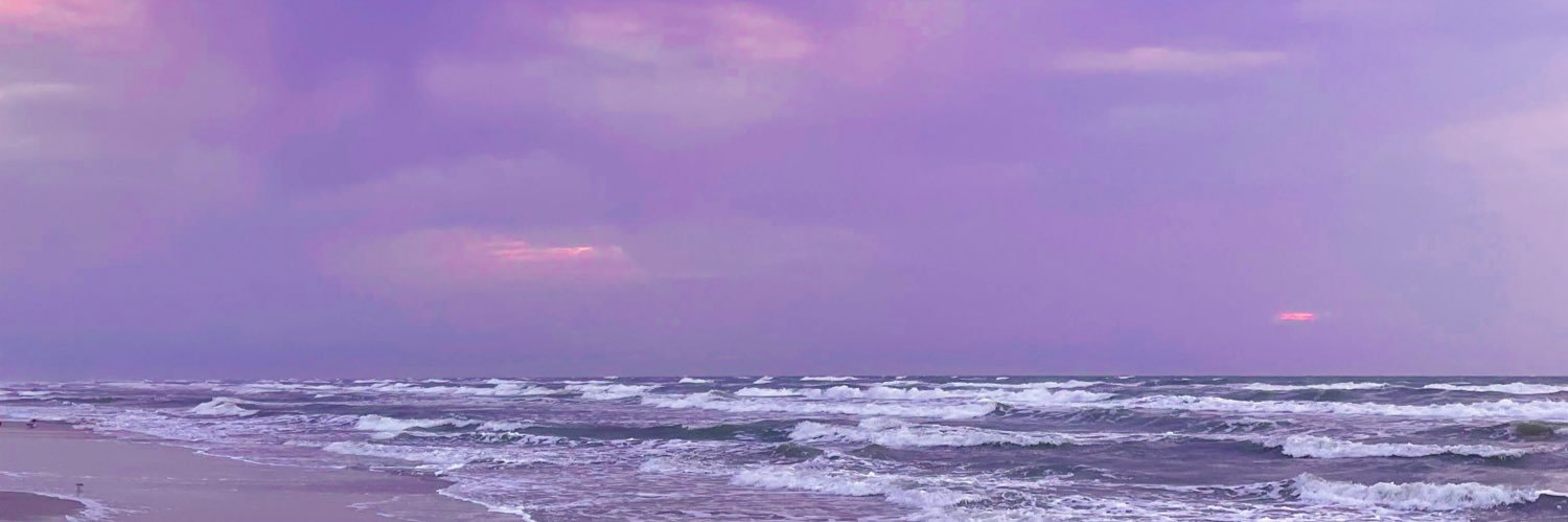 evvdoll's profile banner image
