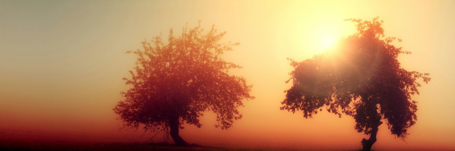 Ivy_aprl's profile banner image