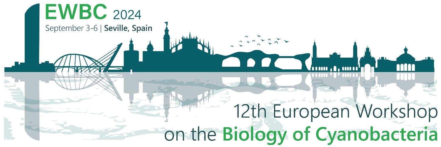 EWBC2024's banner