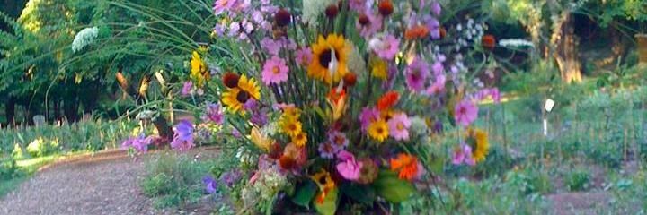 lpbibliotherapy's profile banner image