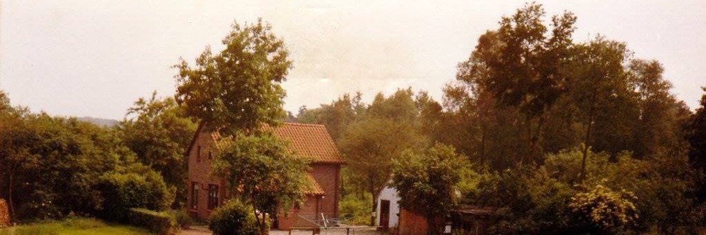 dvanhul's profile banner image