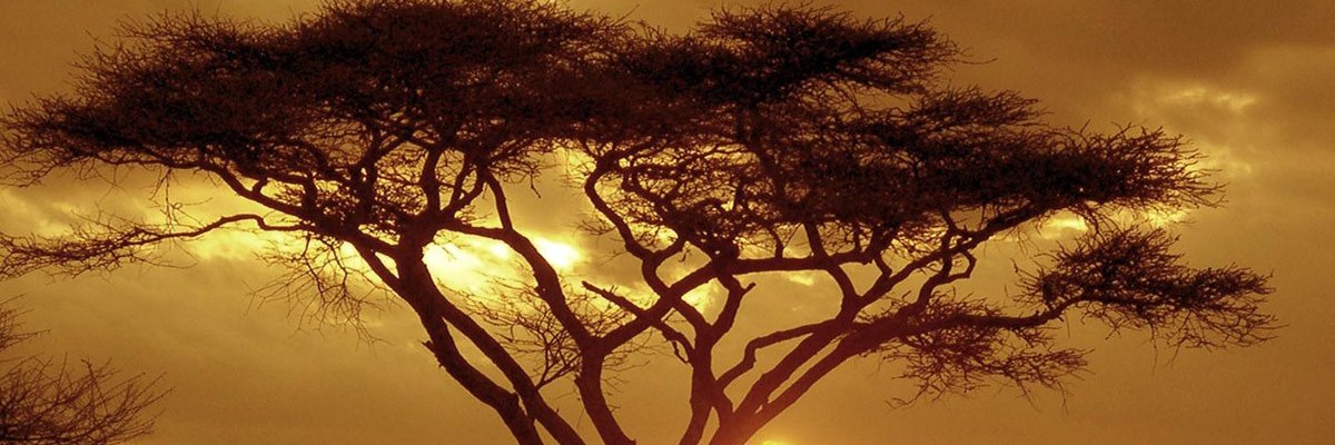 Epione8's profile banner image