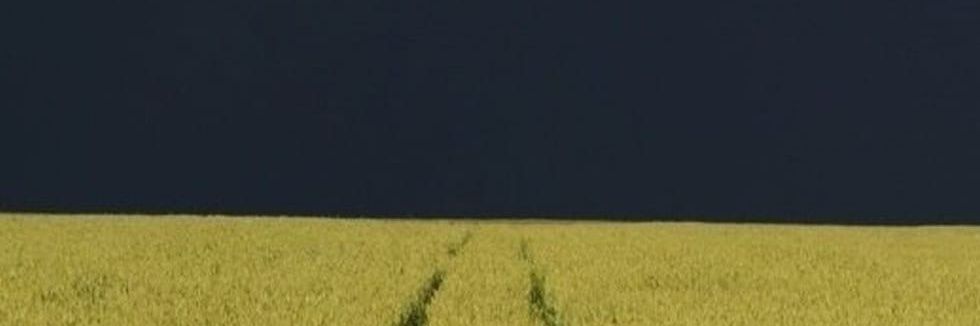 Ocean__Emotion's profile banner image