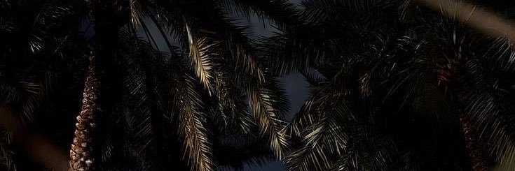 7nnv8's profile banner image