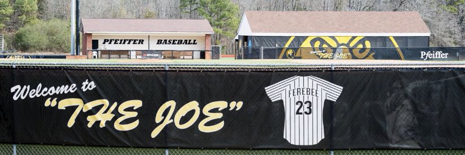 Pfeiffer Baseball Profile Banner