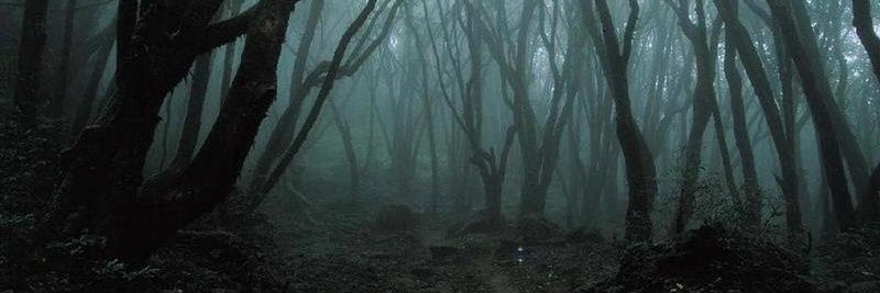 alphareihoy's profile banner image
