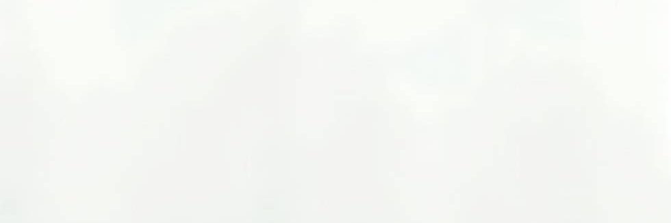 𝑅 banner