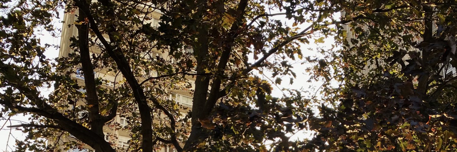 LoyalBubble's profile banner image