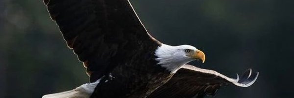 carl_water46229 Profile Banner