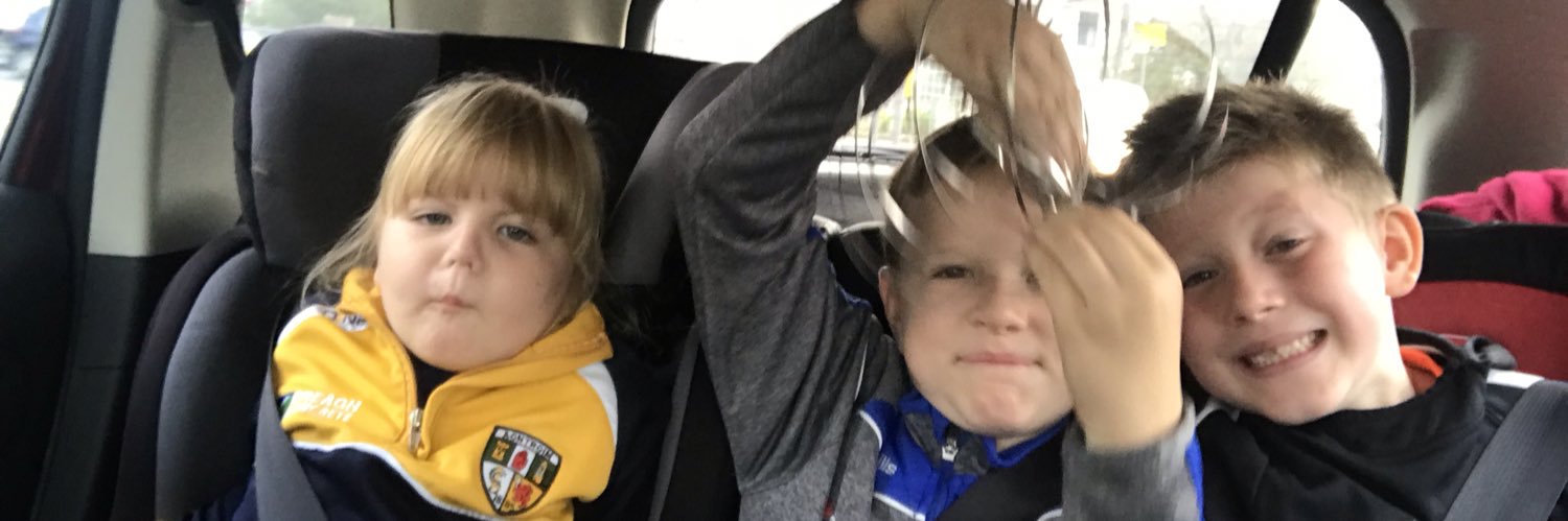 🌈Rosemarie O'Rawe💙 banner