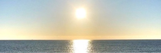 maxinel_ai's profile banner image
