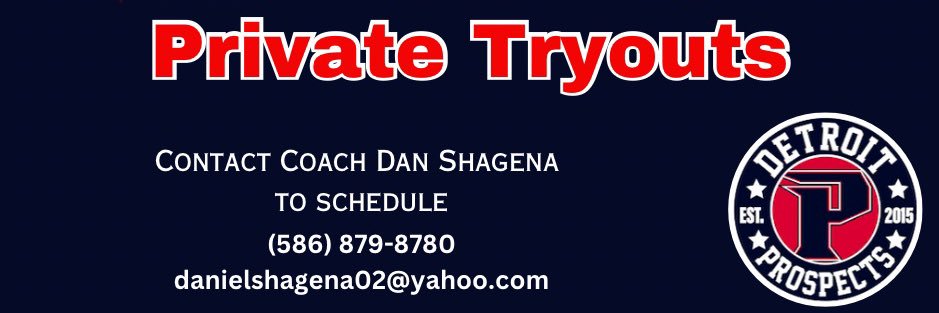 DetroitProspects26/27 banner