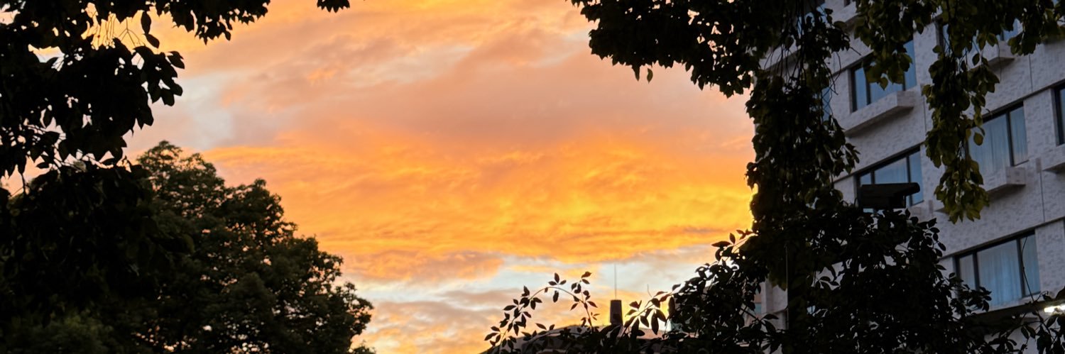 发呆土豆泥 banner