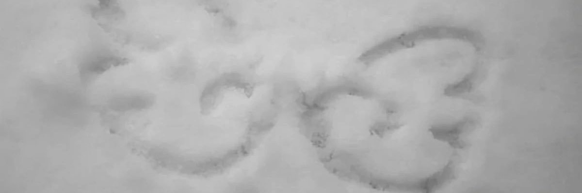 meroooo0406's profile banner image