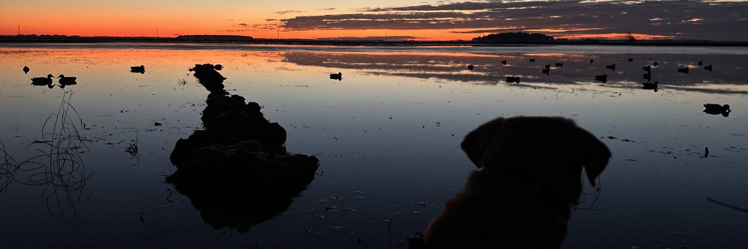 CJakeChester's profile banner image