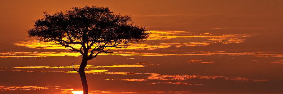 UniqueRiver's profile banner image