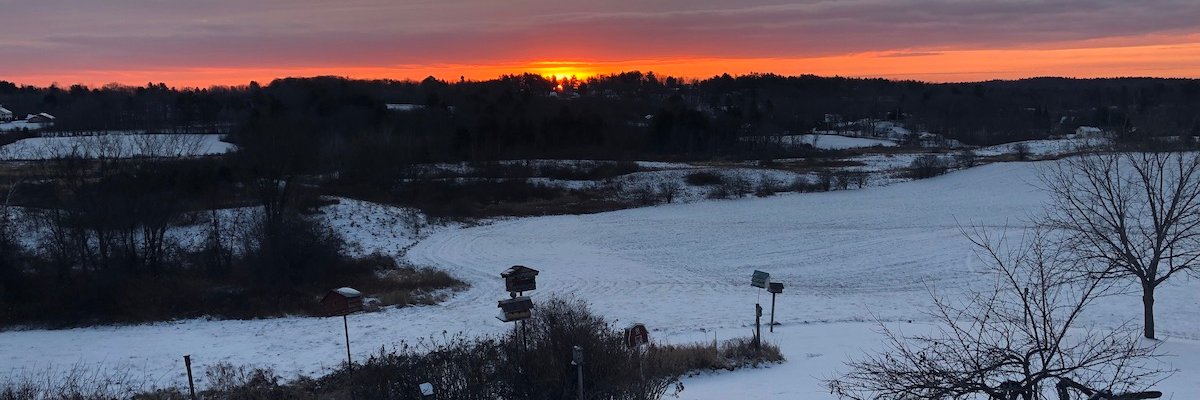 Brian Bilbrey banner