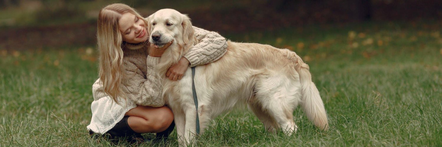Harry_Retriever's profile banner image