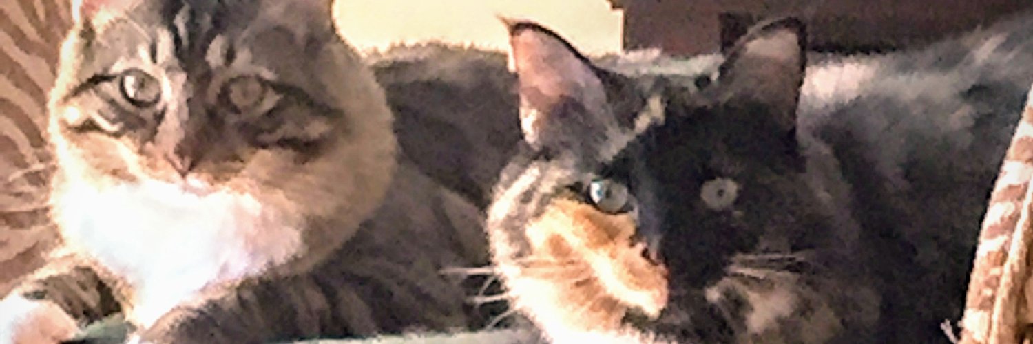 Kimrayleen's profile banner image