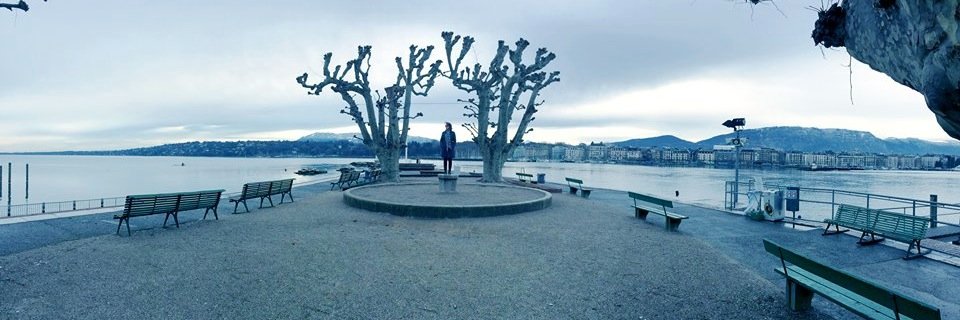 Marieke Hermans banner