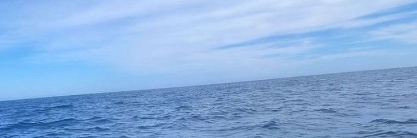 1FPVS3's profile banner image