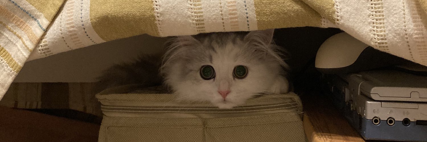 ぼむちゃん banner