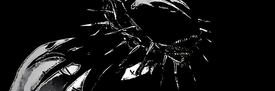 Koon447's profile banner image