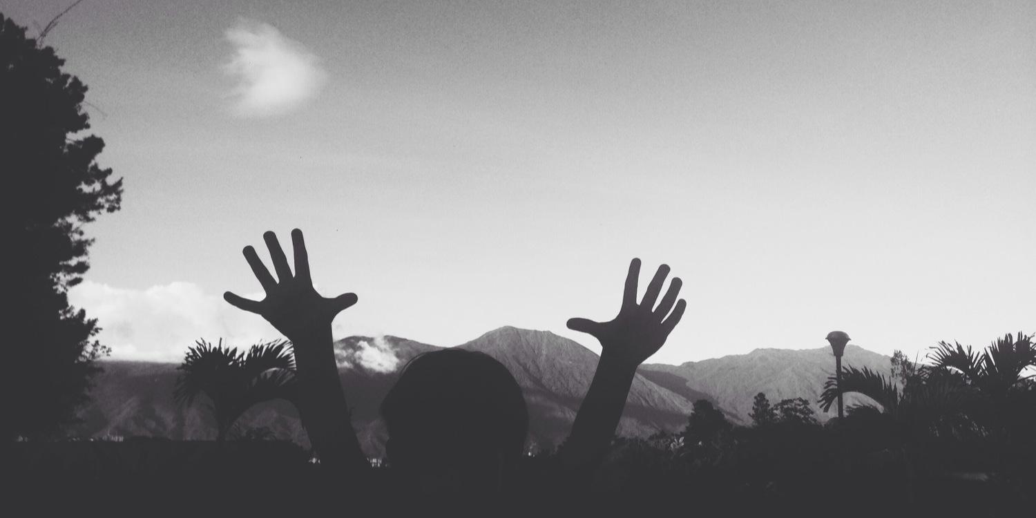 CarlotaChF's profile banner image