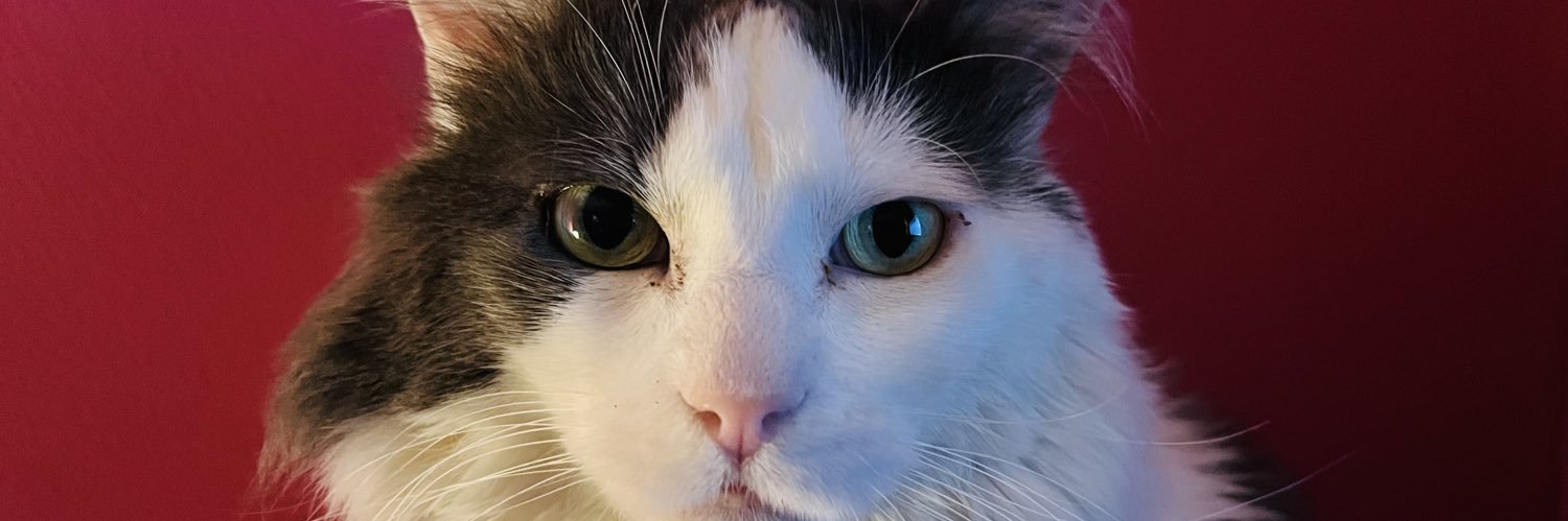 valentiiti's profile banner image