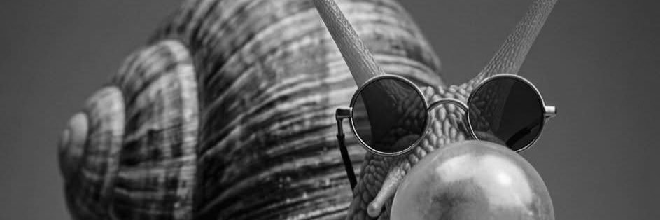 CriptoCaracol's profile banner image