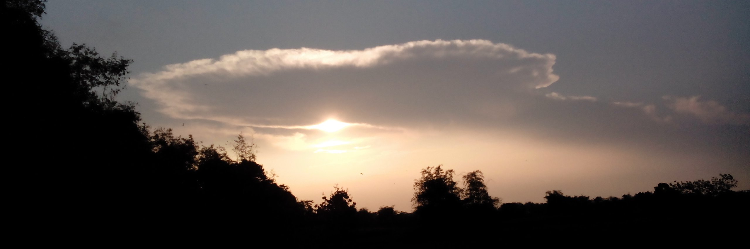 Arvickpray's profile banner image