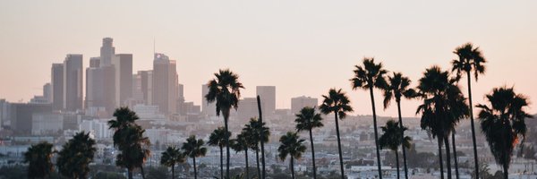 LAUSDDepSupInst Profile Banner