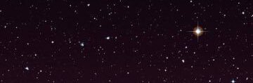 daniela_acero's profile banner image