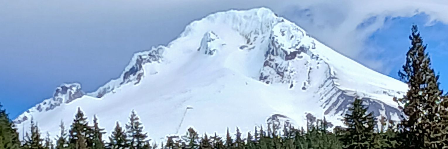 Jesús Alamón banner