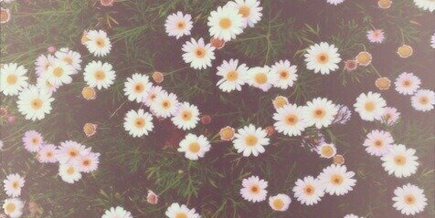 oopiii11's profile banner image